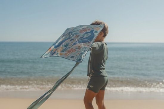 Little Dutch Kite Ocean World 2016367