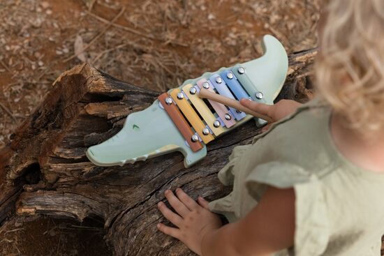 Little Dutch Xylophone - Crocodile Safari Friends FSC 7475