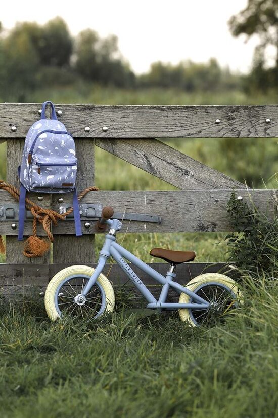 Little Dutch Balance Bike Matt Blue 8001