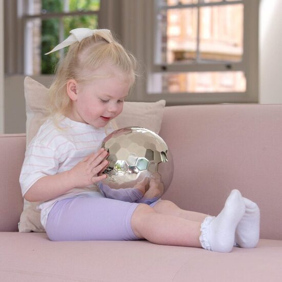 Montessori Sensory Steel Tumble Ball