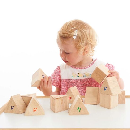 Montessori Wooden Sound Prisms