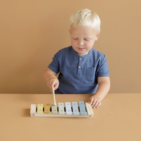 Little Dutch Xylophone blue 7017