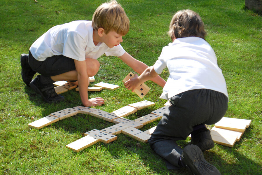 Montessori Wooden Dominoes