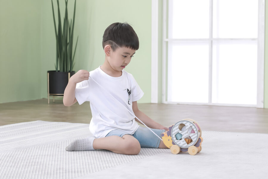 Montessori Hedgehog Sorting Wheel