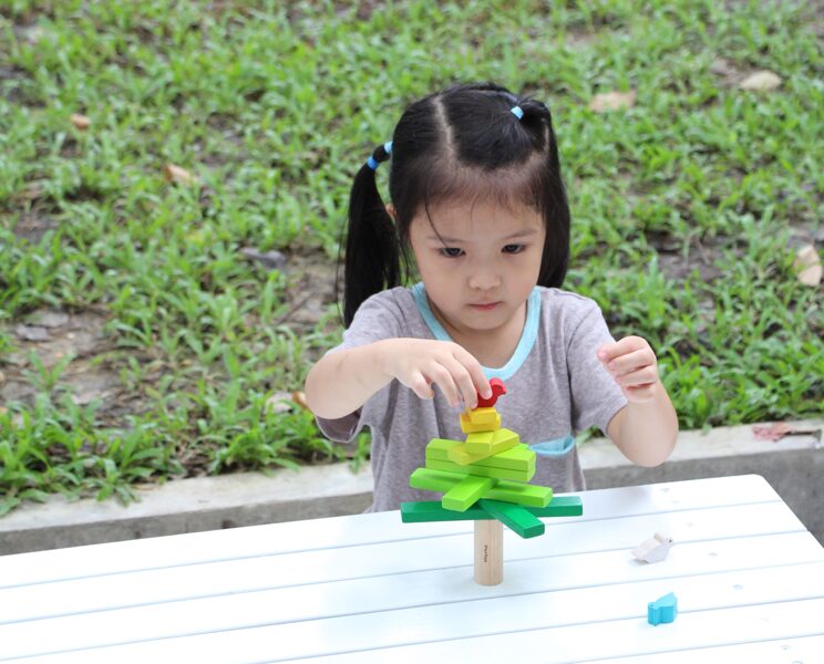 PlanToys BALANCING TREE 5140