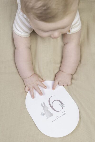 Little Dutch Baby milestone cards Baby Bunny FSC 4743