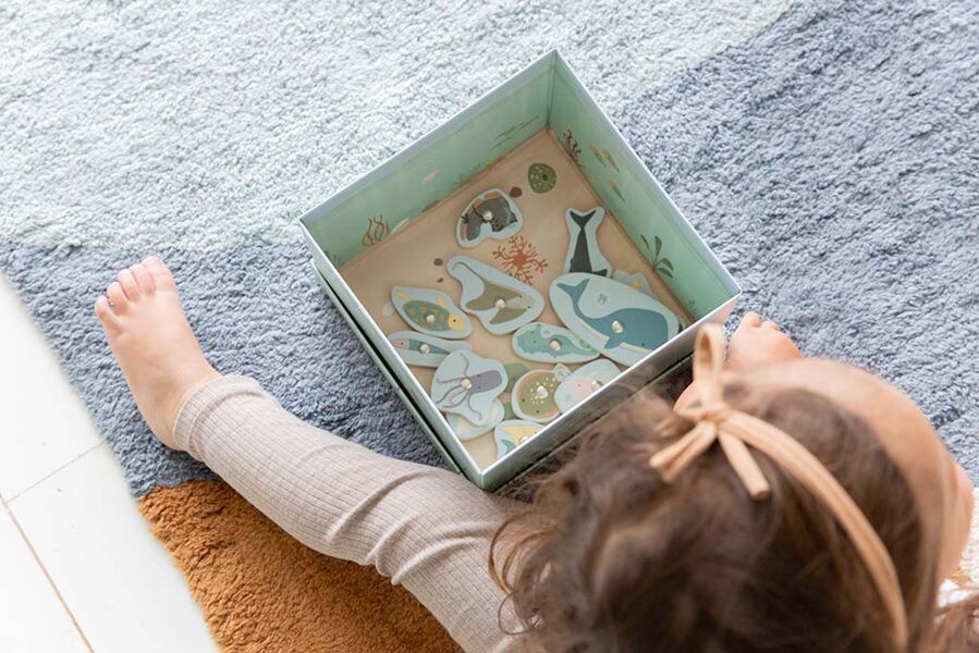 Little Dutch Fishing game FSC 4772