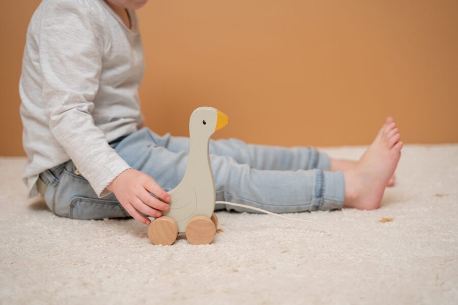 Little Dutch Pull-along Little Goose 7071