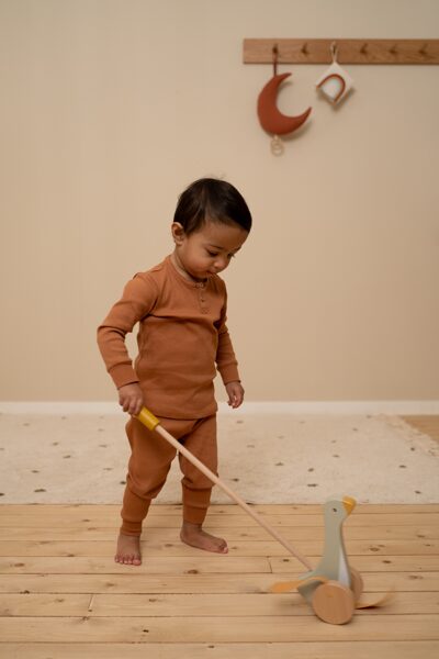 Little Dutch Push-along Little Goose 7070