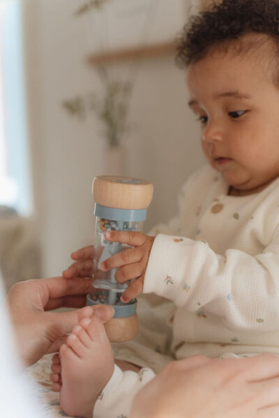 Little Dutch Rain Rattle Forest Friends FSC 7236