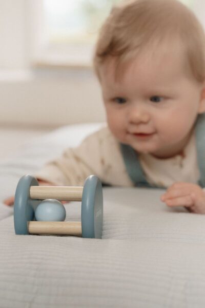 Little Dutch Roller rattle Forest Friends FSC 7251