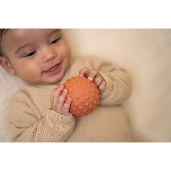 Little Dutch Sensory balls set Little Farm 2012600