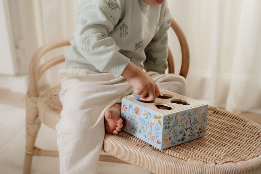 Little Dutch Shape Sorter Forest Friends FSC 7247