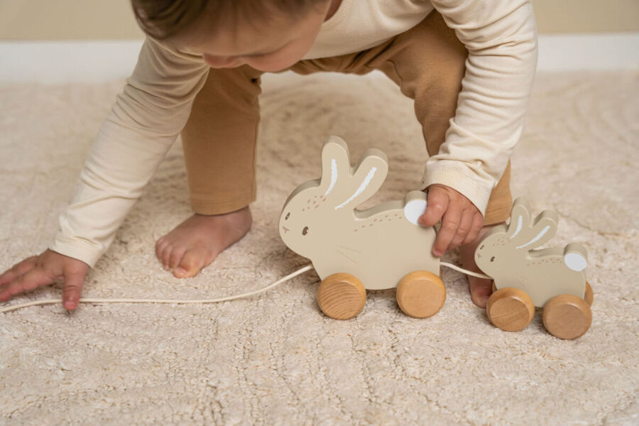 Little Dutch Pull Along Bunnies Baby Bunny FSC 8861